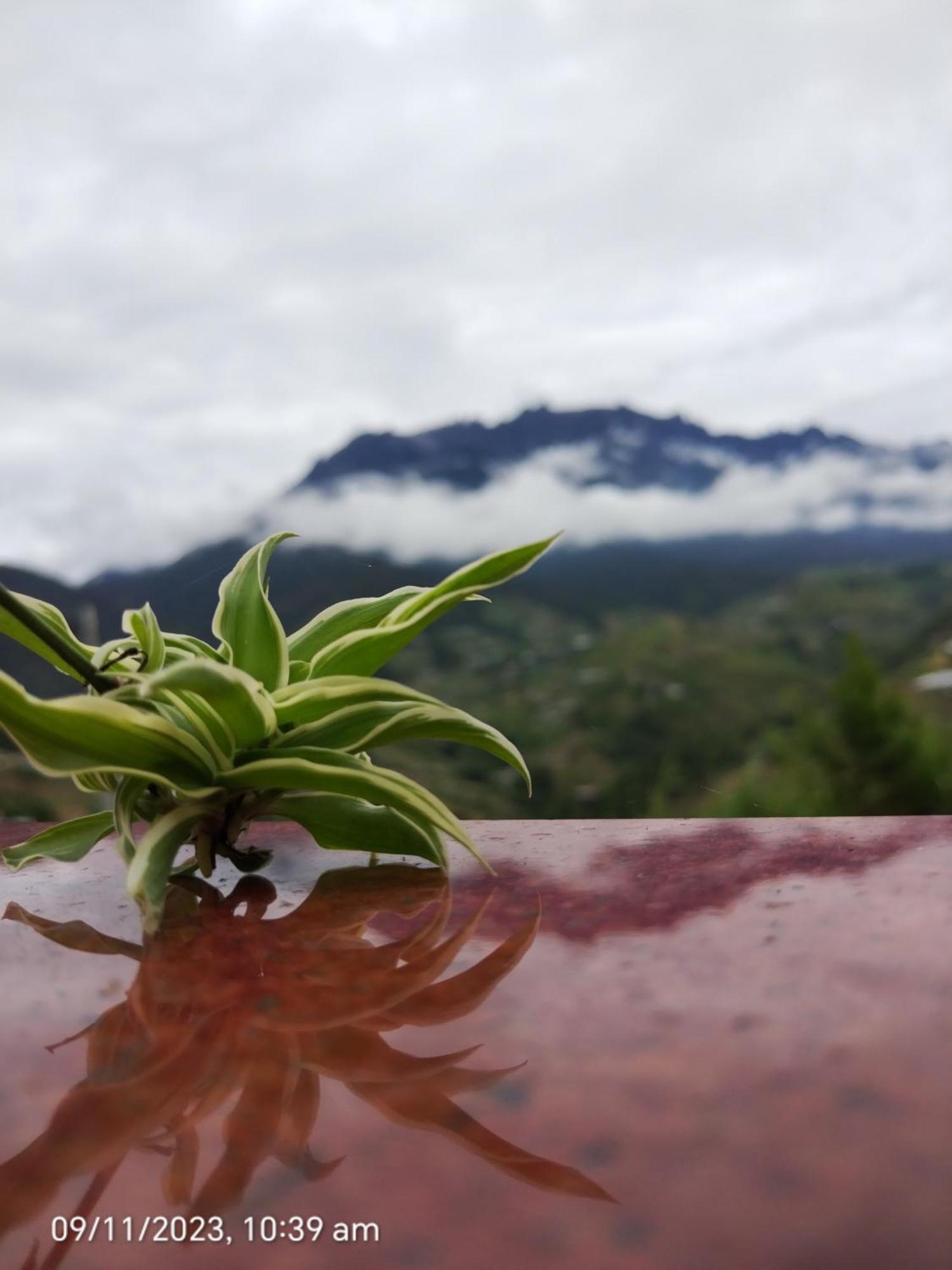 Highland Homestay Kundasang Ranau Kültér fotó